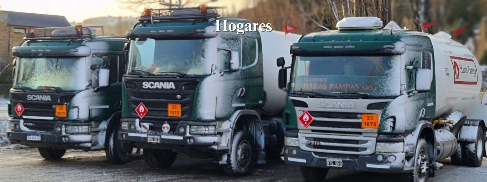 camion granelero